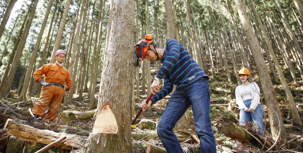 入住溫泉度假村,體驗伐木工人的生活